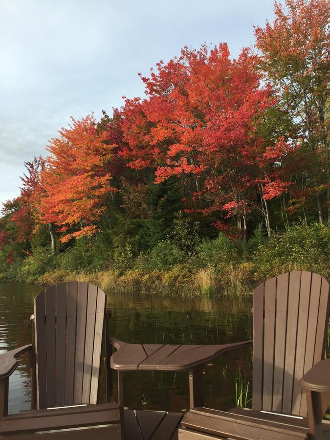 Selenia Lodge- Residences Et Chalets Dans Les Laurentides Saint-Remi-d'Amherst Exterior foto